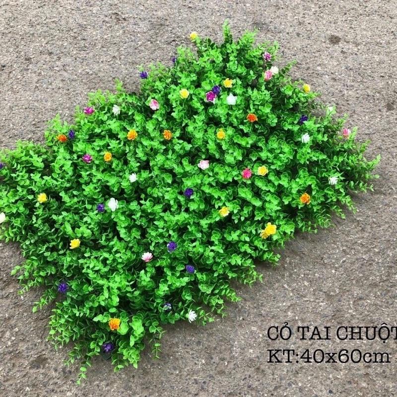 cỏ nhân tạo treo tường tai chuột có hoa khổ 40-60cm màu xanh non