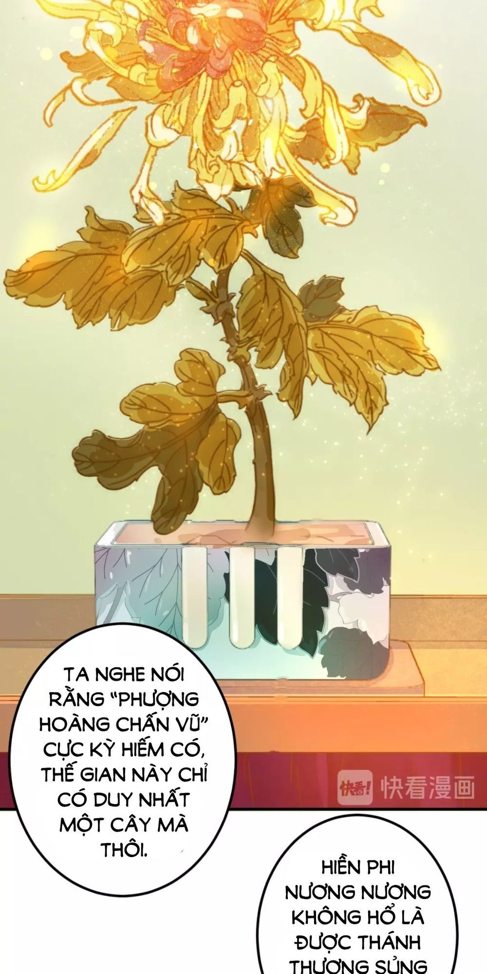 mấy độ cẩm nguyệt say cũng liễu chapter 16 19