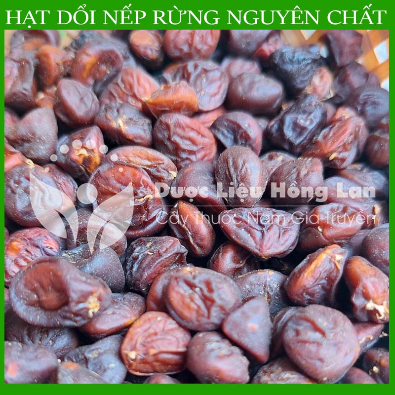 1kg Hạt dổi nếp khô sạch chuẩn rừng loại 1
