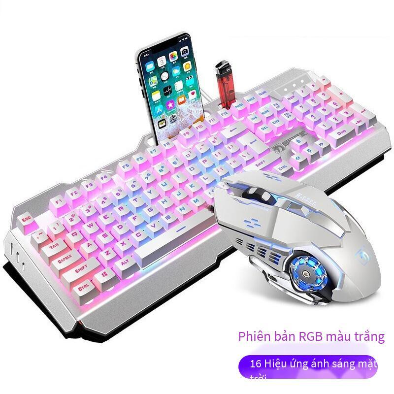 Giá thấp nhất Xinmeng Mamba con rắn điên thao túng bộ bàn phím chuột trò chơi máy tính xách tay máy tính để bàn chuột phím có dây