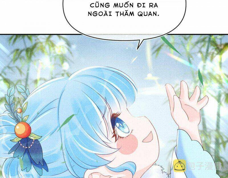 nhóc con người cá 3 tuổi rồi chapter 270 34