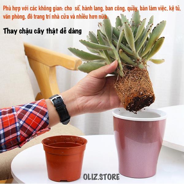 Chậu cây để bàn Oliz W0 - Chậu trồng cây tự tưới nước cho cây. Dùng trang trí nhà cửa, bàn làm việc