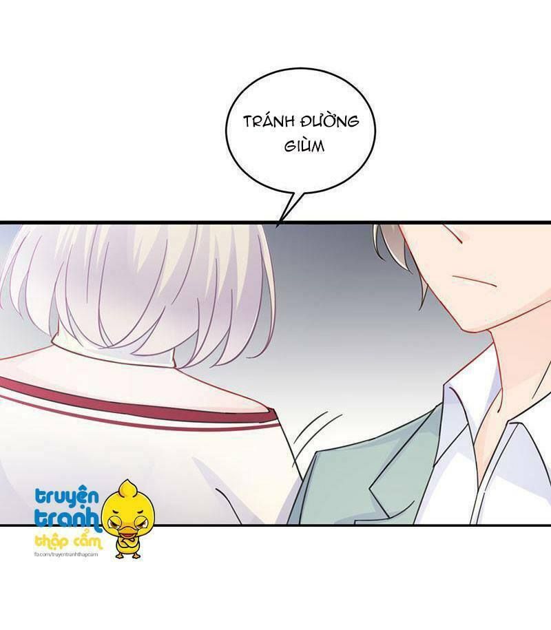 chọc tới chủ tịch tổng tài 2 chapter 13 19