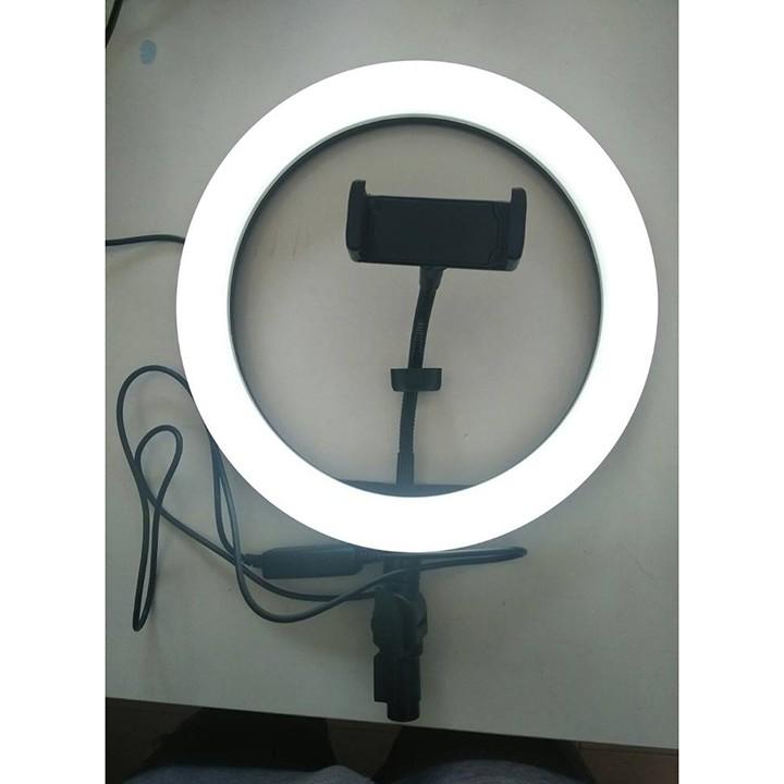 Bộ live stream cỡ lớn 26cm