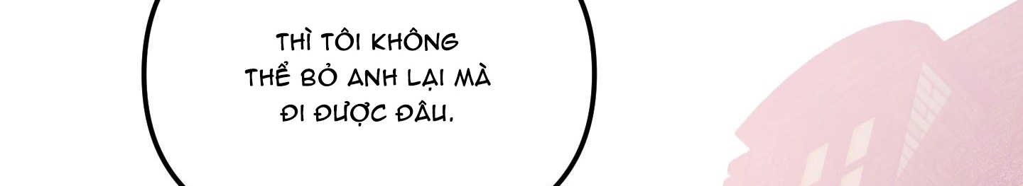 định rõ mối quan hệ chapter 29 218