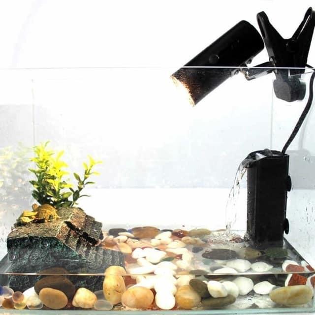 Kẹp đèn sưởi cho bò sát