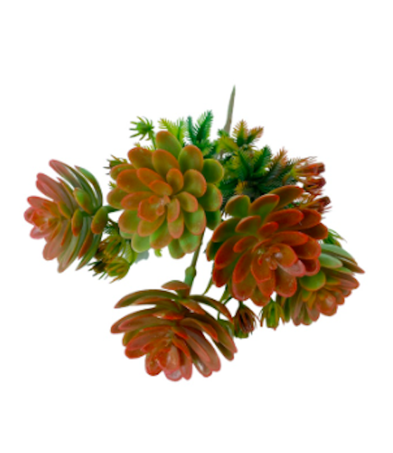 Cụm hoa sen đá giả siêu đẹp giống thật 99% - Cây giả, hoa lụa Decor trang trí nhà cửa
