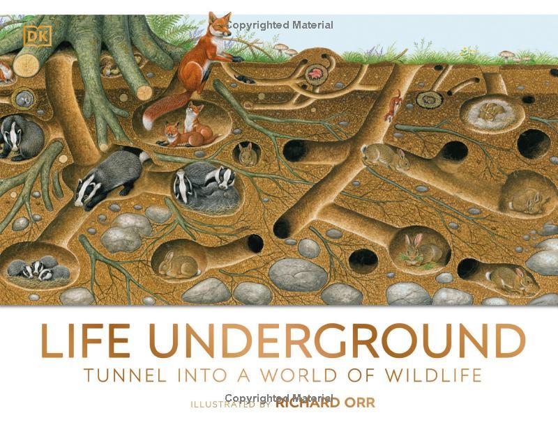 Sách ngoại văn: Life Underground - Tunnel Into A World Of Wildlife