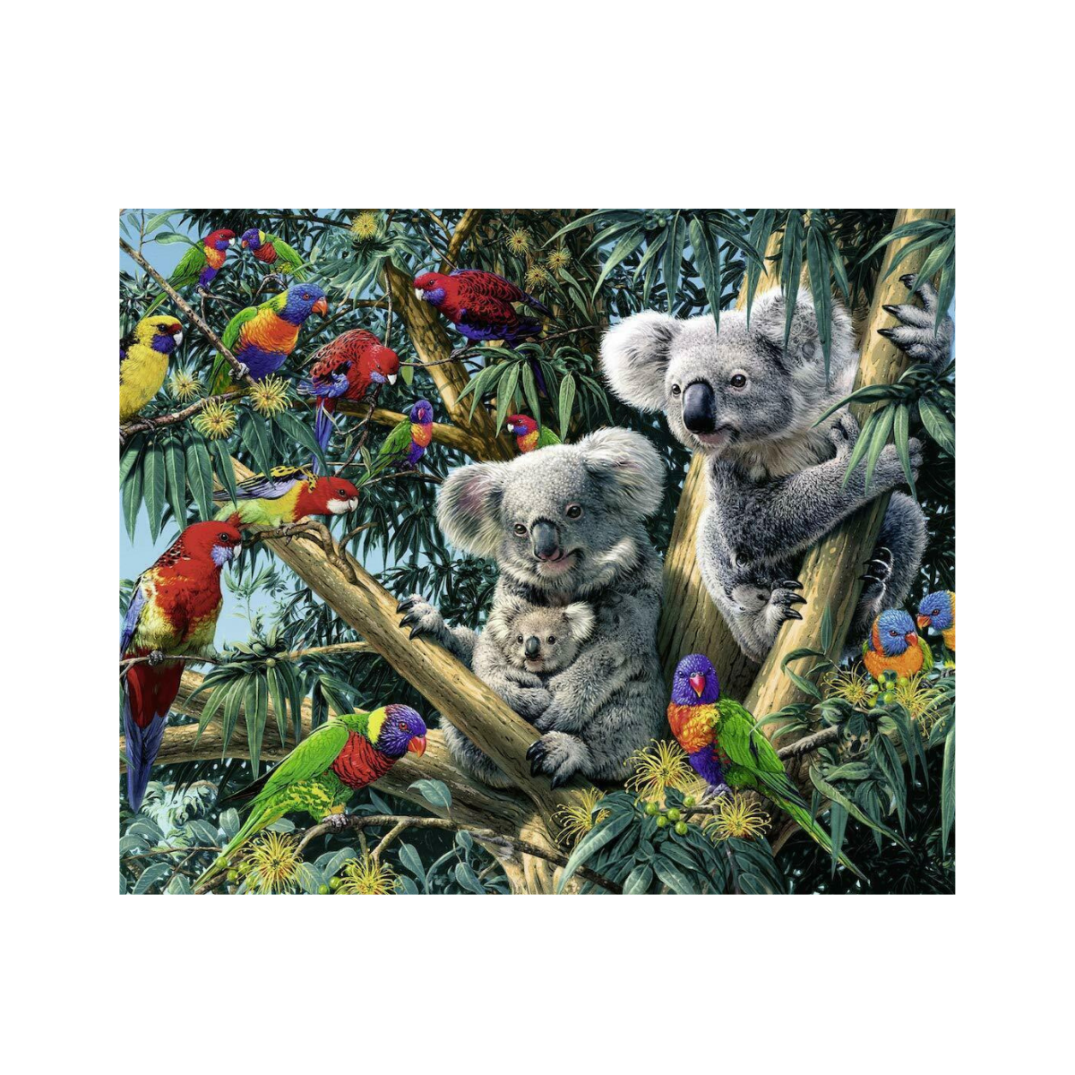 Xếp hình puzzle Koalas in a Tree 500 mảnh RAVENSBURGER 148264