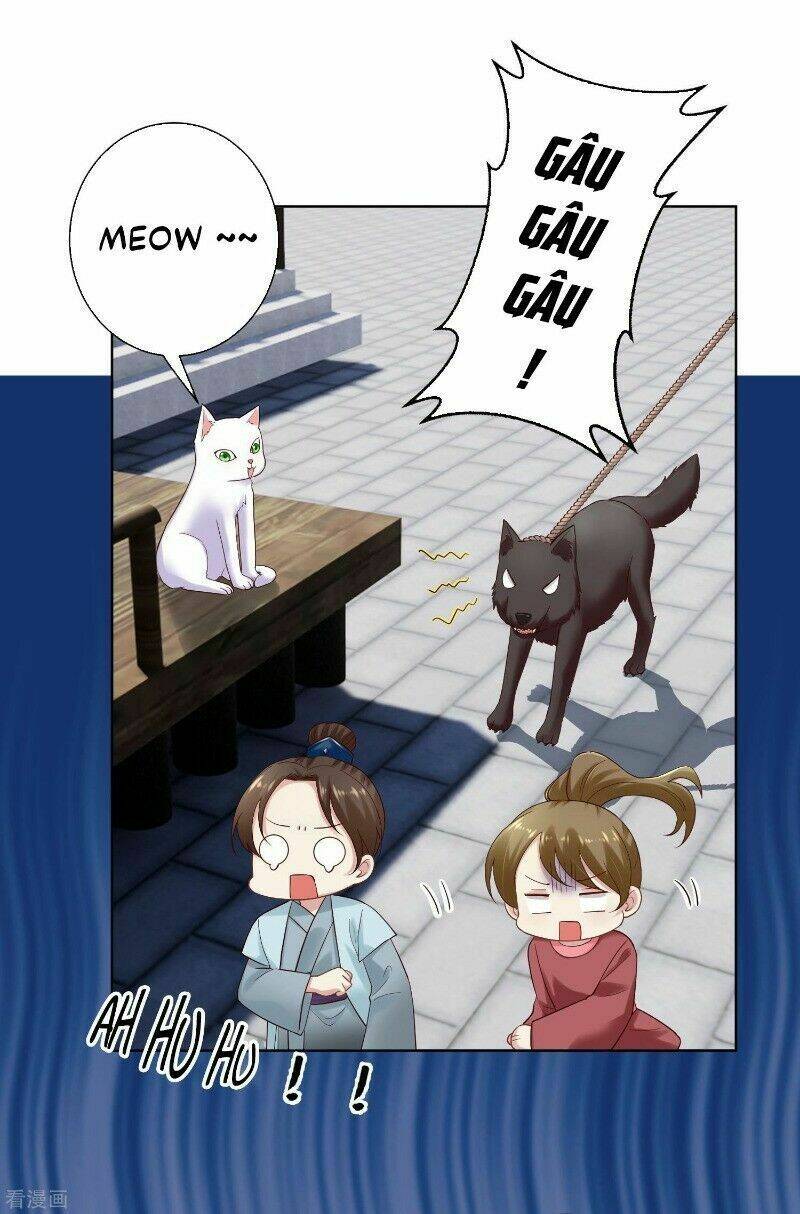 độc y đích nữ chapter 127 22