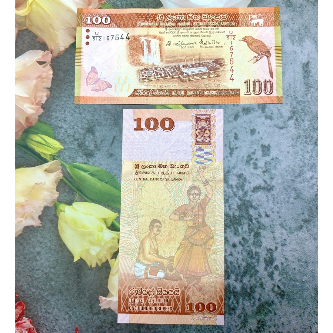 Tiền cổ 100 Rupees của Sri Lanka hình con chim, mới 100% UNC, tặng túi nilon bảo quản