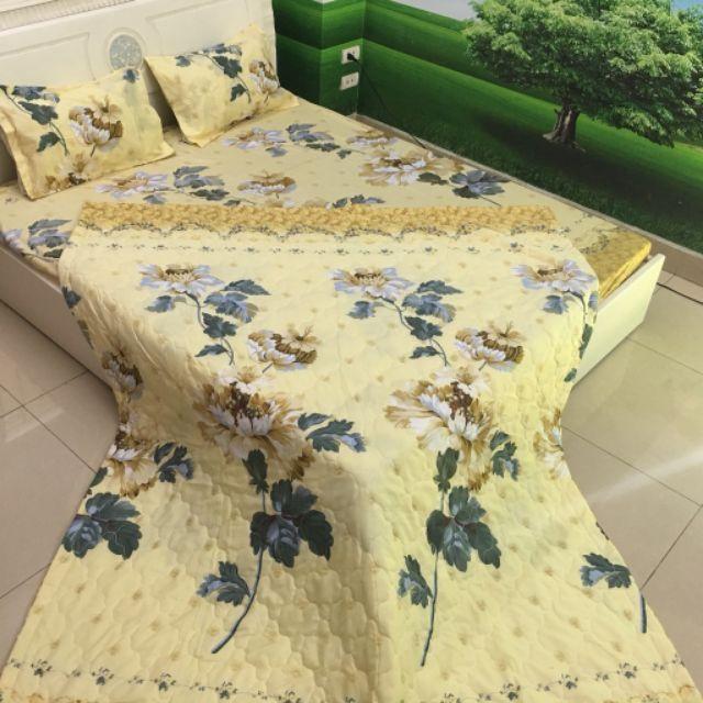 Trọn bộ 4 món drap +áo gối cotton poly đủ size