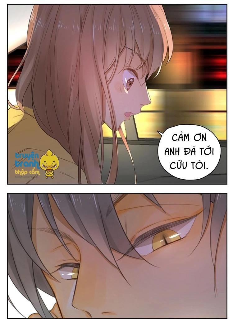 cứu mạng ! loài mèo thống trị thế giới rồi ! chapter 26 21