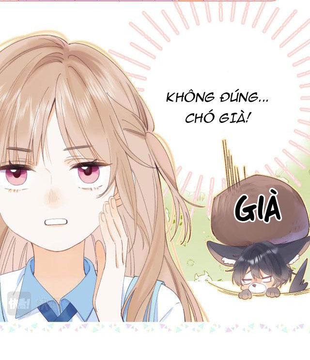 Vụng Trộm Không Thể Giấu chapter 4 - Trang 11