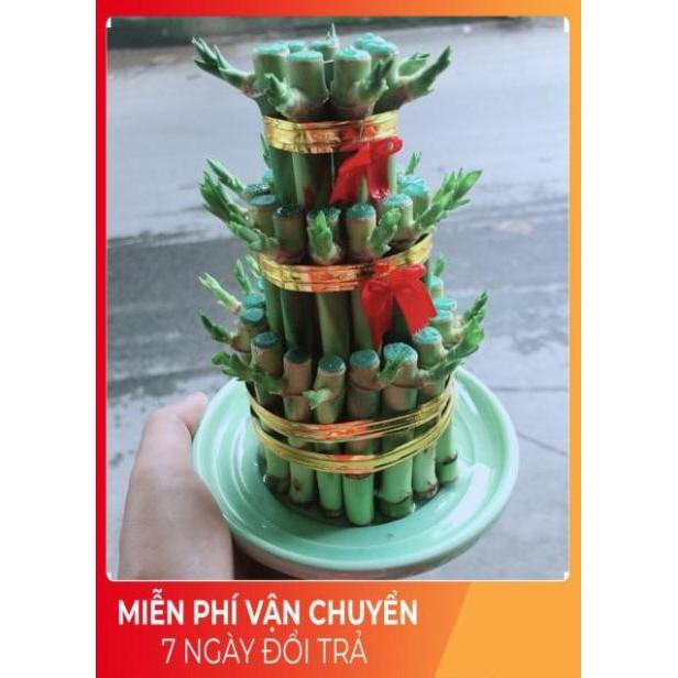 Trúc Phát Tài 3 Tầng