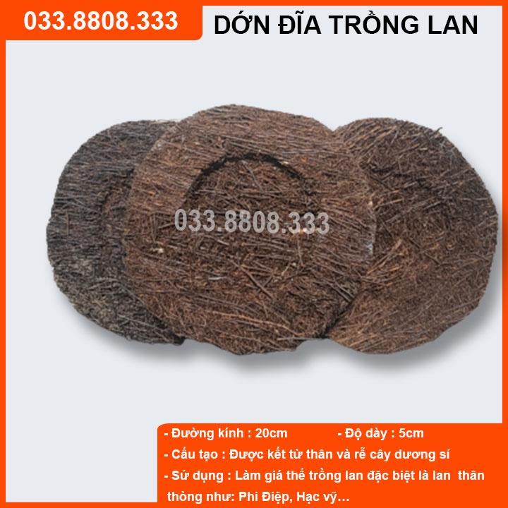 2 Chậu Dớn Đĩa Chuyên Dùng Ghép Lan Các Loại - đường kính khoảng 20cm