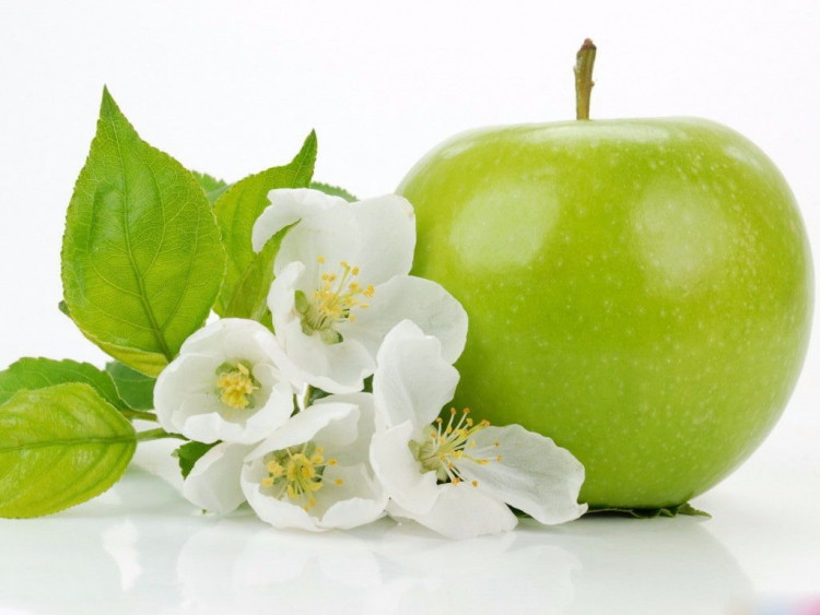 Tế bào gốc Táo