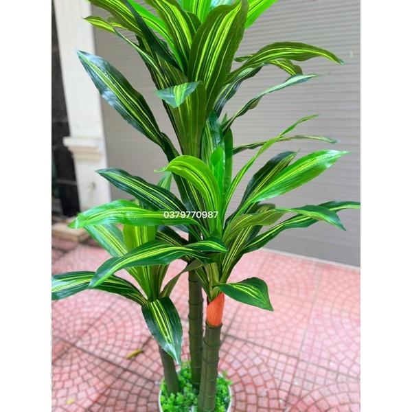 Cây Thiết Mộc Lan- Cây giả, Cây giả decor trang trí nhà cửa nội thất phòng khách phòng ngủ