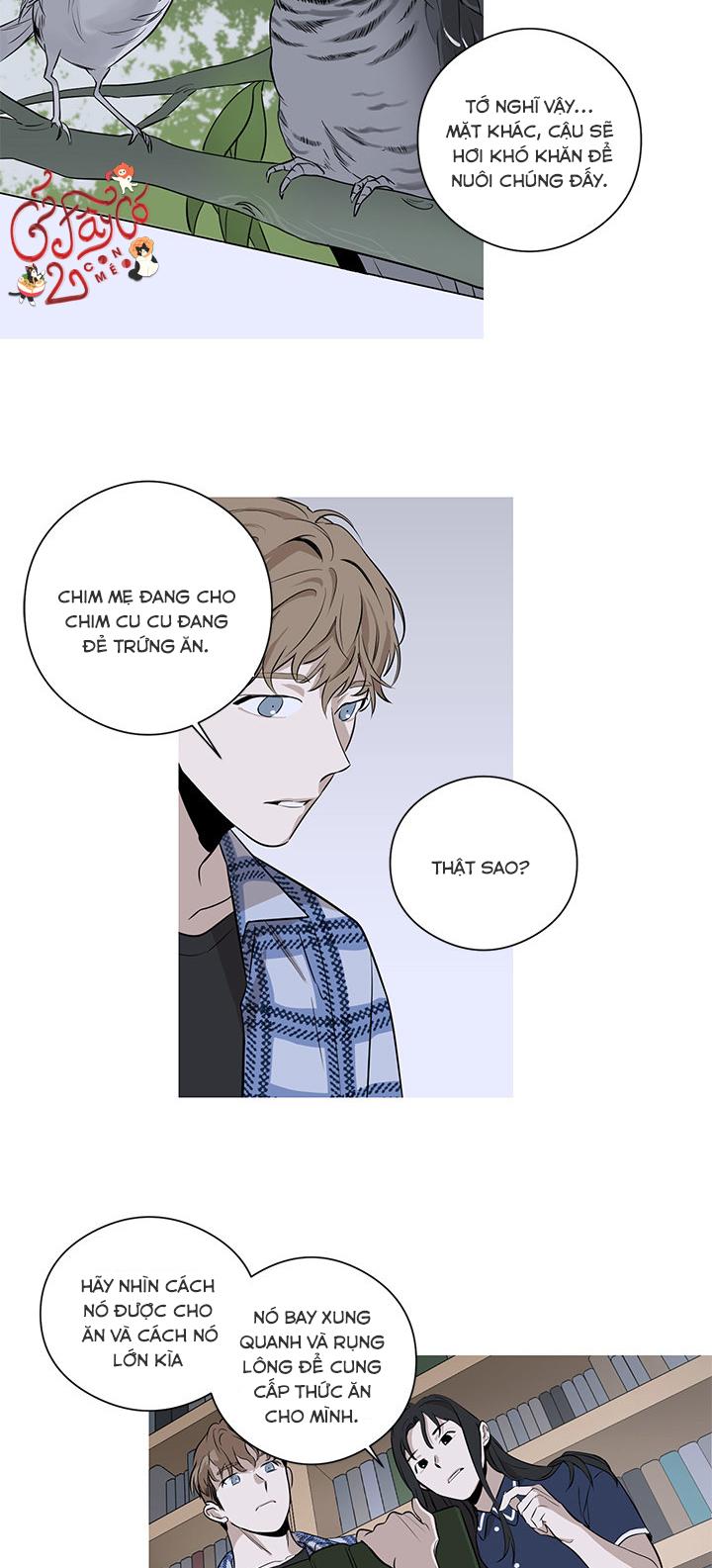 loài chim không bay chapter 2 3