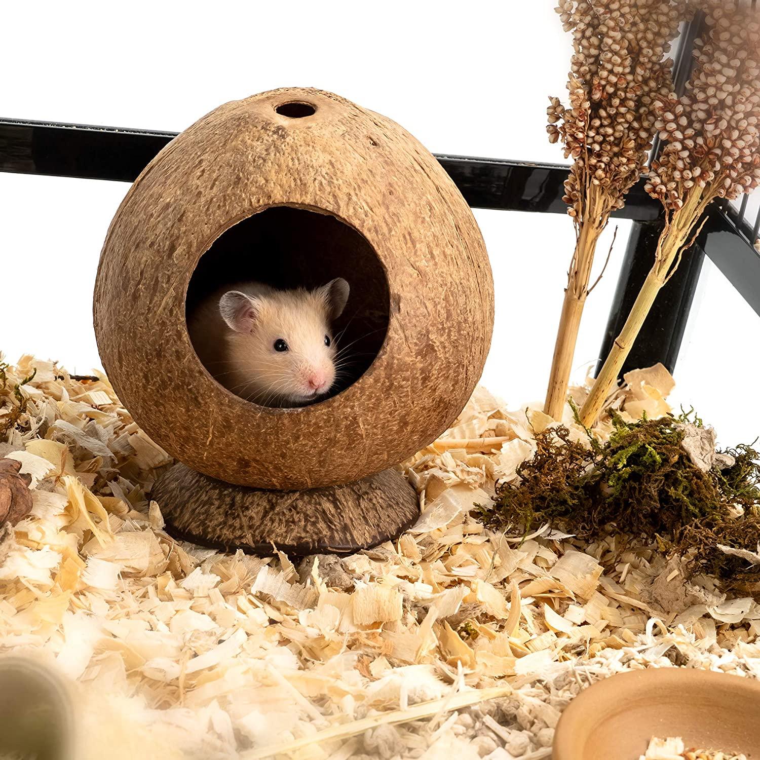 Dừa Hut Hamster House Giường để trang trí môi trường sống cho động vật nhỏ