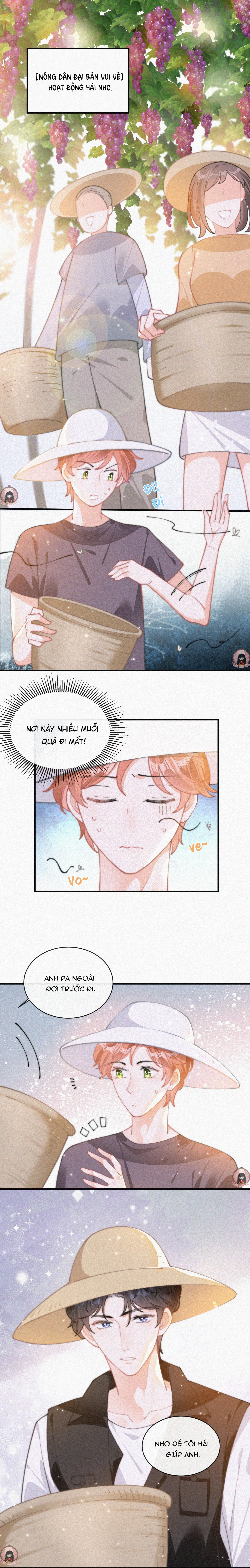 hôm qua như đã chết chapter 61 1