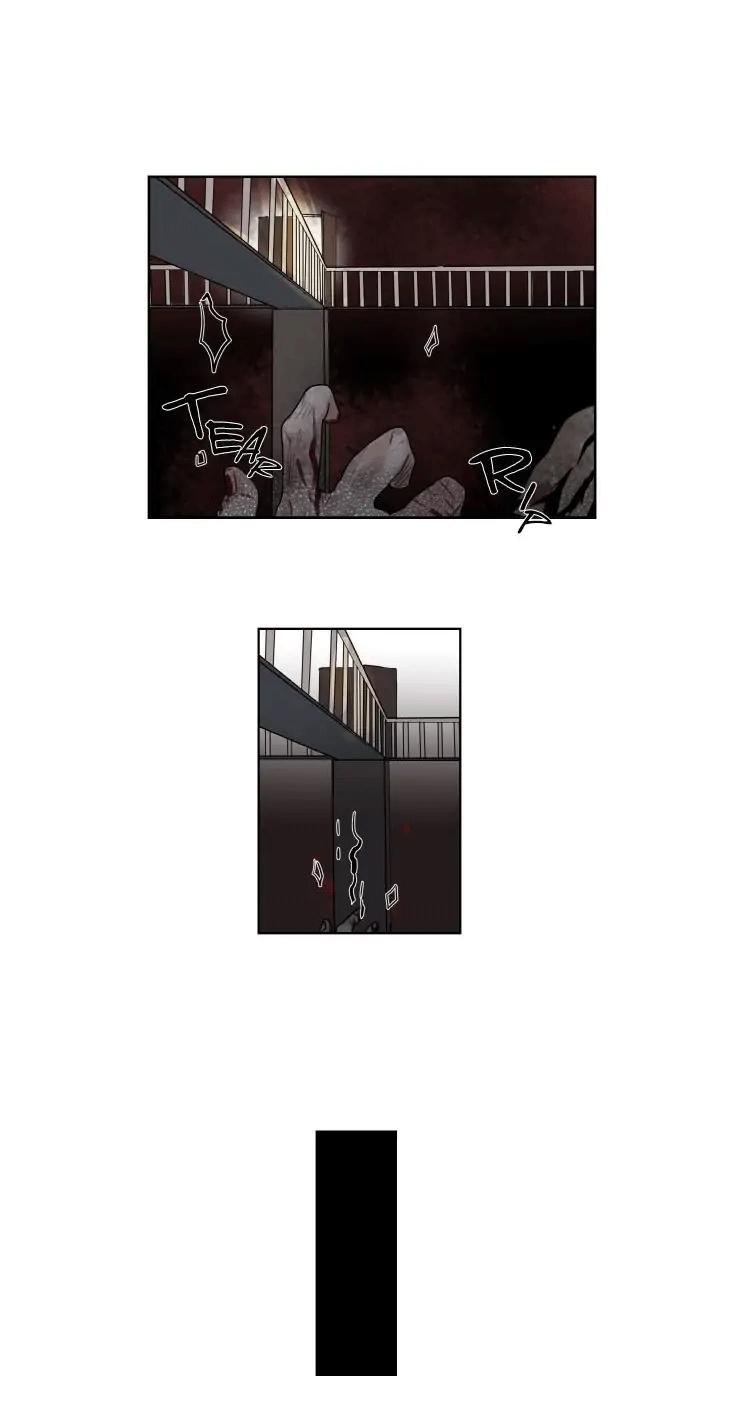 ánh nhìn của quạ chapter 2 22