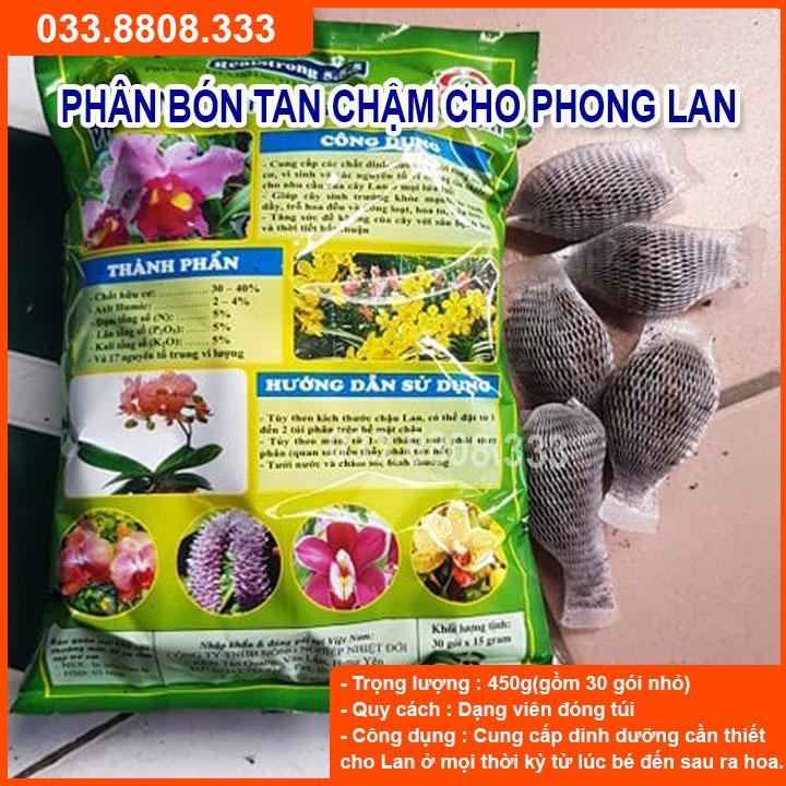 PHÂN TÚI LƯỚI KÍCH RA HÓA PHONG LAN