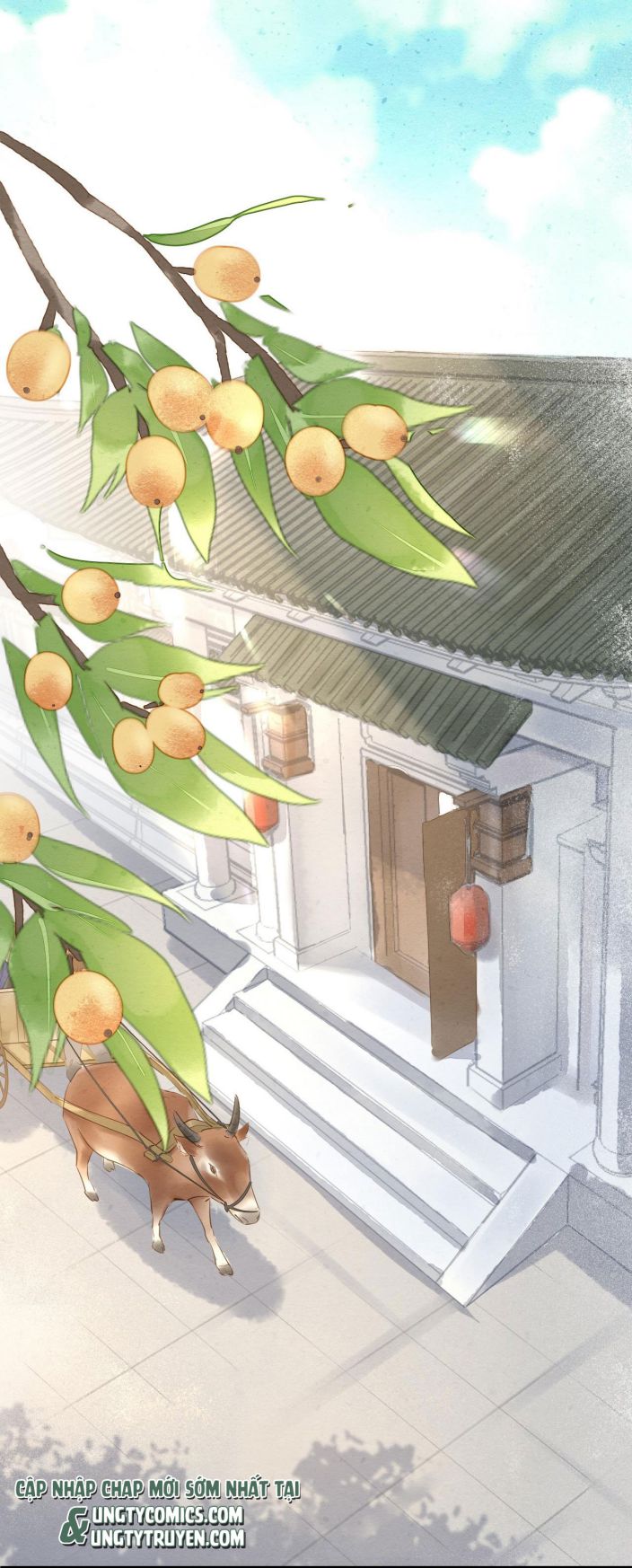 tù long chapter 12 23