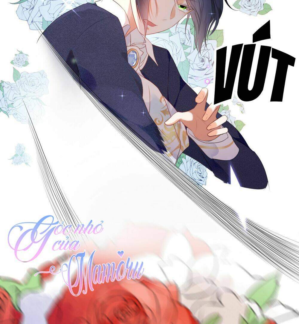 cô bé lọ lem của tôi không ăn chay chapter 1 18