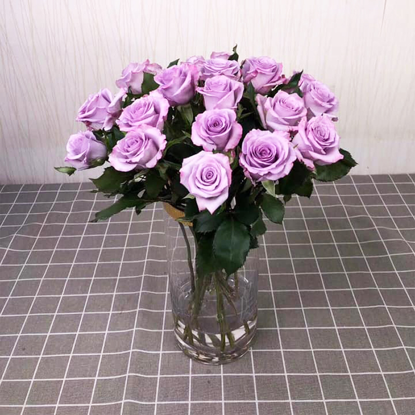 Dinh Dưỡng Giữ Hoa Hồng cắm bình Lâu Tàn - Food For Cut Flowers giúp hoa luôn tươi mớ, cứng cáp gấp 2 lần và trong 14 ngày không thối nước hay cắt tỉa gốc hoa, nhập khẩu Israel