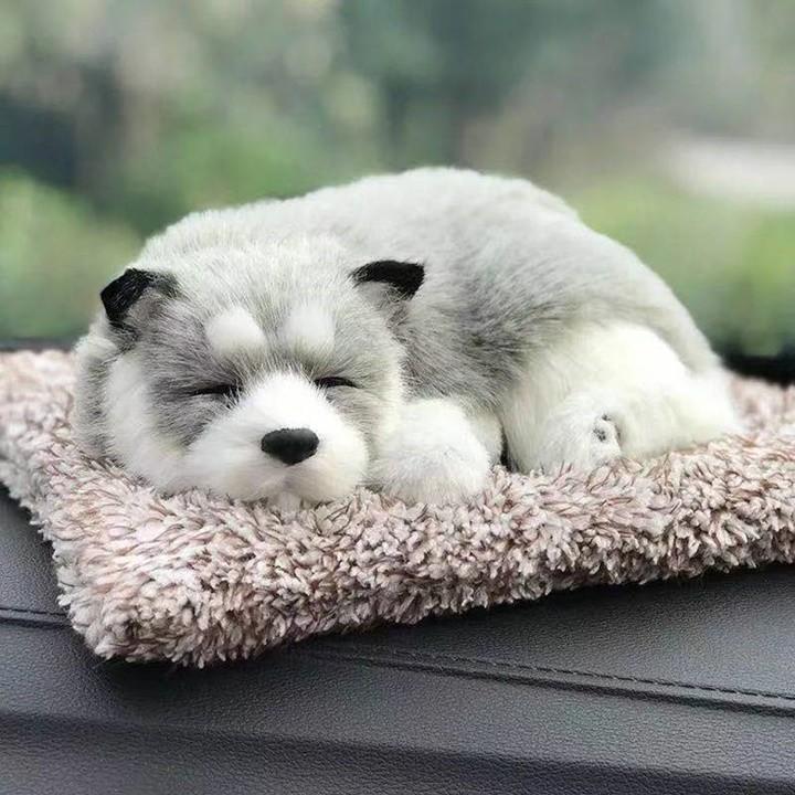 Tượng để xe ô tô, trang trí ô tô, chó trang trí ô tô kèm than hoạt tính