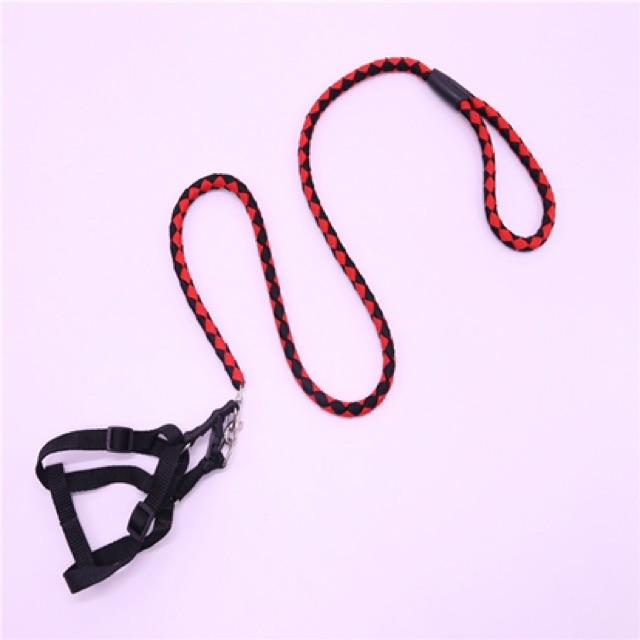Dây dắt chó đi dạo - size từ nhỏ tới to