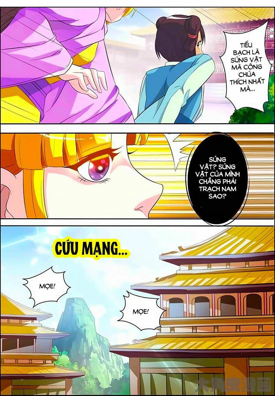 mau lấy con mèo đó ra chapter 12 1