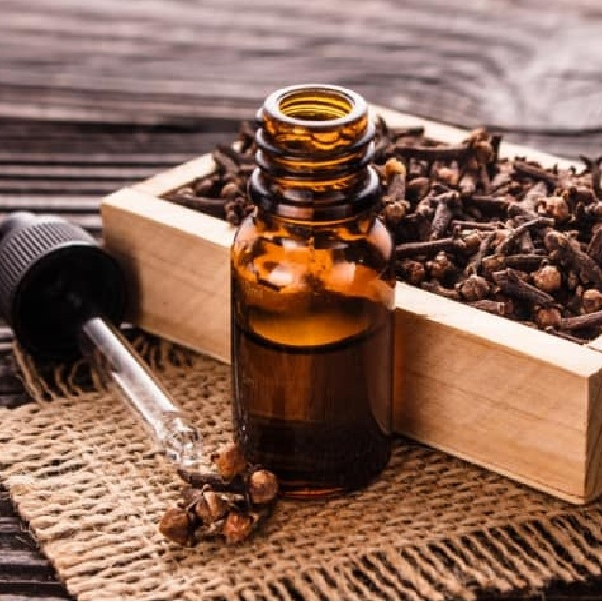 Tinh dầu Đinh hương 10ml nguyên chất từ thiên nhiên - Mộc Mây