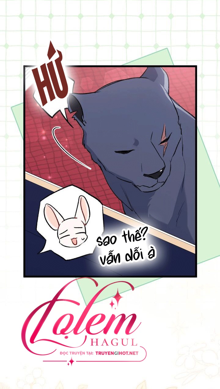 mối liên kết giữa báo đen và bé thỏ chapter 90 12