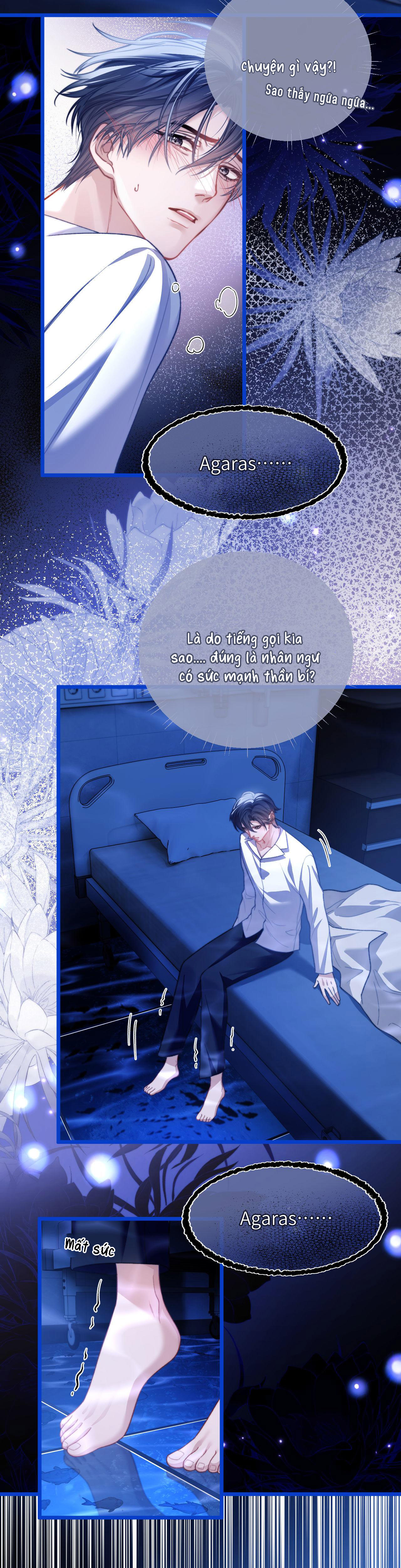 nhân ngư dessaro chapter 13 15