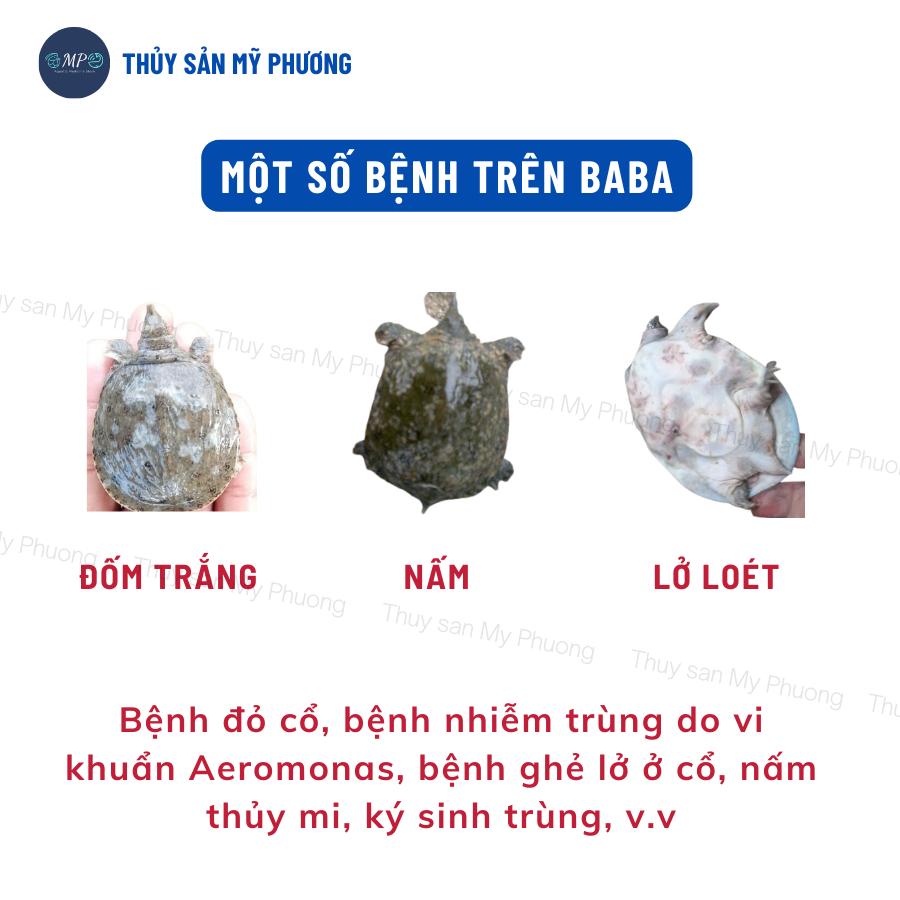 Ks đường ruột lò xo phân trắng đứt khúc Rifaxime nhiễm trùng xuất huyết sình bụng không tiêu tôm thẻ cá lươn ếch ốc baba