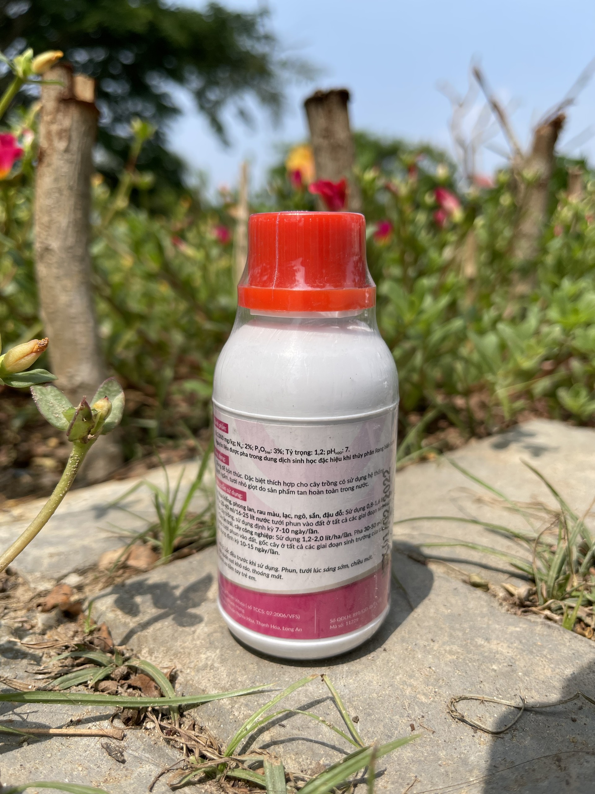 Phân bón vi lượng Vif-one rong biển 100ml