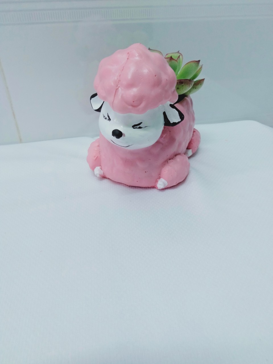 Chậu trồng cây sen đá, xương rồng mini, Cừu hồng kích thước miệng chậu 6m