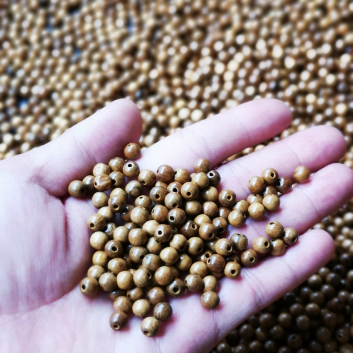 Vòng trầm hương 108 hạt Kiến An