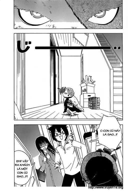 sanka rea chapter 11 15