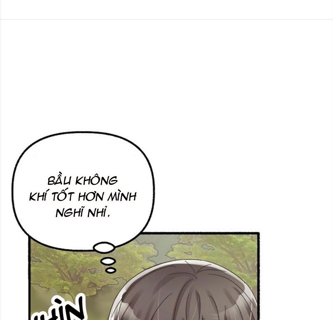 hoa triều chapter 19 13