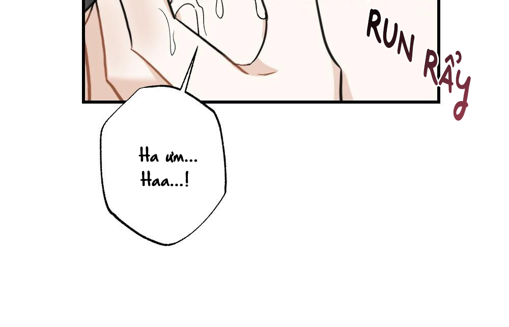 bò sữa quốc dân chapter 1 43