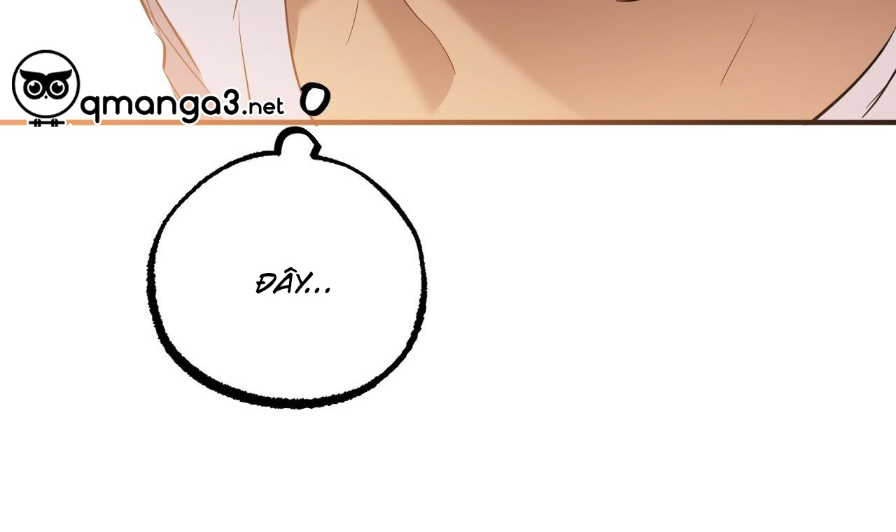 những chú thỏ của hapypy chapter 51 41