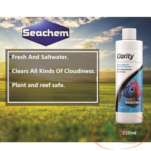 Làm trong nước Seachem Clarity khử đục bụi cặn li ti bể cá tép thủy sinh