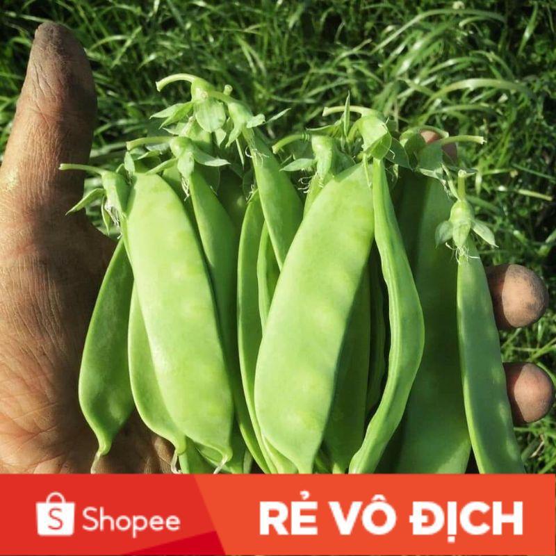 Hạt Giống Đậu Hà Lan Chuyên Lấy Hạt F1 Năng Xuất Cao Gói 20G - Khu Vườn Ban Công