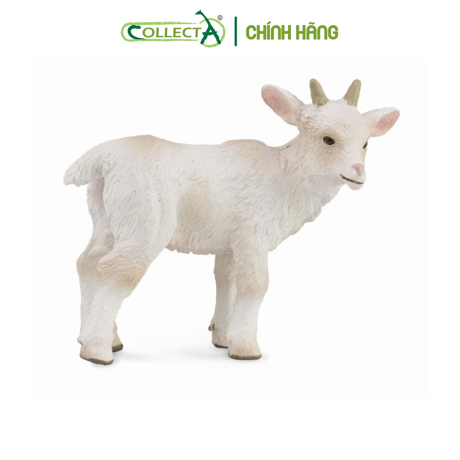 Mô hình thu nhỏ: Dê con - Goat Kid - Standing, hiệu: CollectA, mã HS 9650151[88786] -  Chất liệu an toàn cho trẻ - Hàng chính hãng