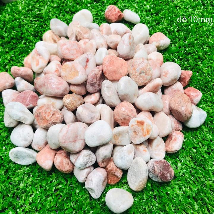 1kg sỏi bể cá - sỏi hồ cá