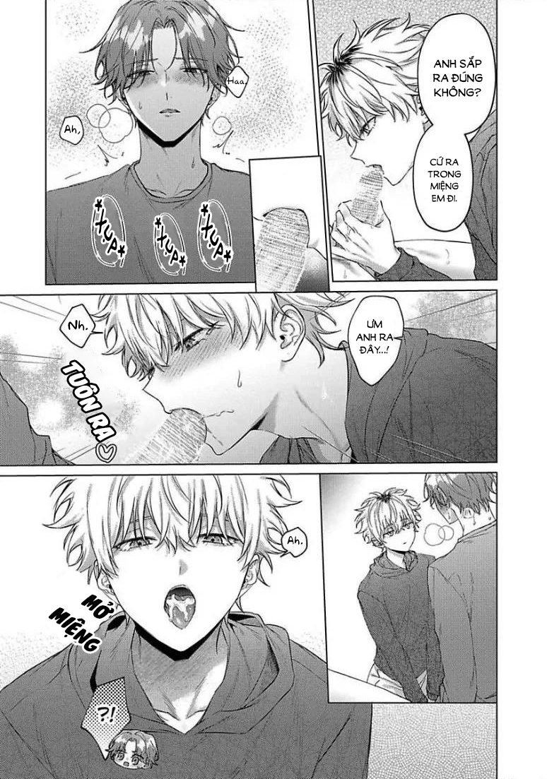 chú mèo ngọt ngào đến nhà tôi mỗi lúc chạng vạng chapter 4 11