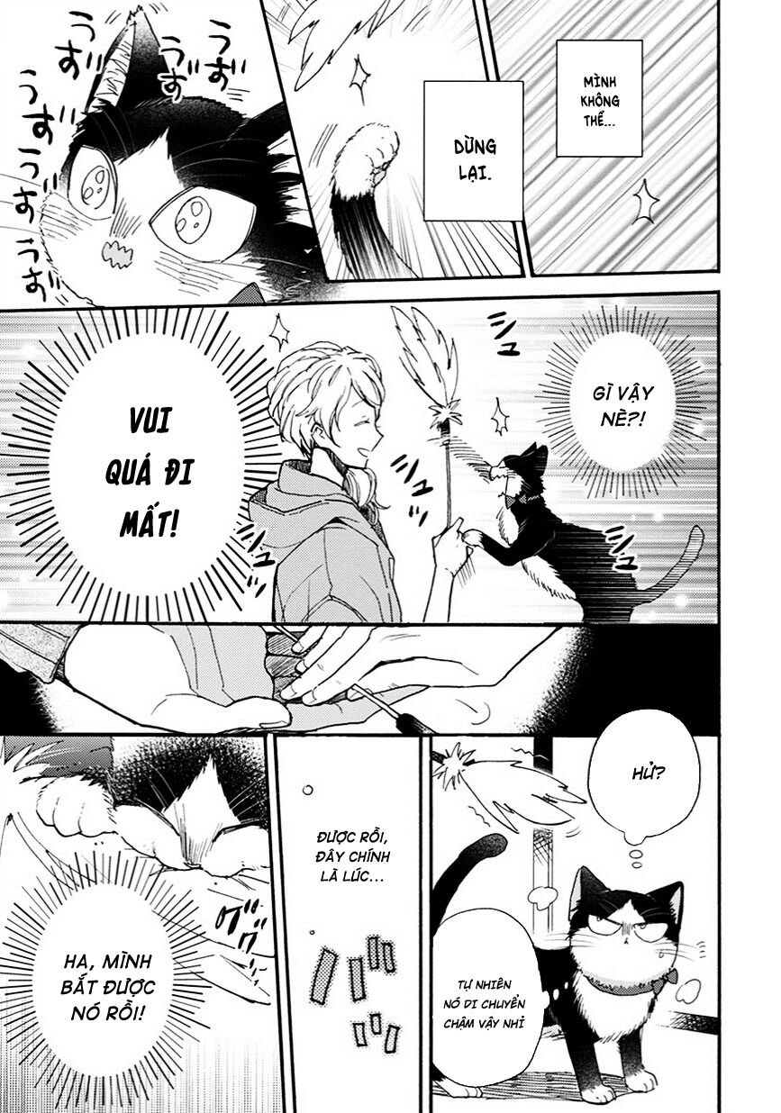 doukyonin wa hiza, tokidoki, atama no ue chapter 8.5 7